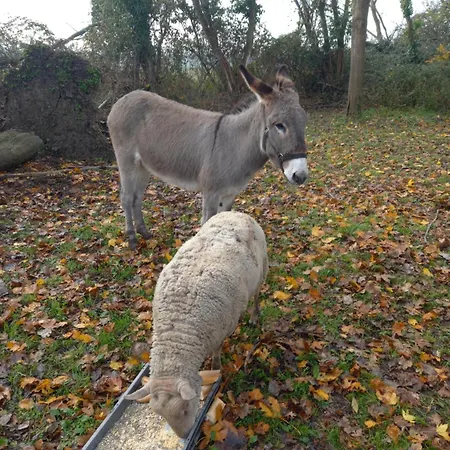 Les Terrasses Perchées Sur La Rivière à *